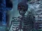 Spill Skeletverden - Skulte Stjerner online