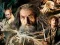 Spill Hobbiten Puslespillsamling online