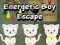 Spill Energisk Gutt Rømning online