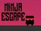 Spill Ninja Flukt online