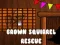 Spill Redd den brune ekorn online