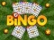 Spill Bingo Avslørt online