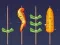 Spill Grillkamp online
