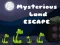 Spill Mysterious Land Flukt online