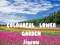 Spill Fargerik Blomsterhage Puslespill online Spill Fargerik Blomsterhage Puslespill online