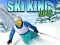 Spill Ski Konge 2022 online