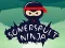 Spill Rulle Ninja online