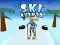 Spill Ski Rush 3D online