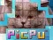 Spill PicPu Katt online