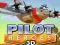 Spill Pilothelter 3D online