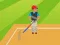 Spill Kriket 2D online