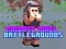 Spill Private Pixel Slagmarker online