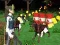 Spill Beste Kamp Cover Royale online