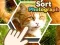 Spill Sorter fotografi online