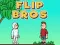 Spill Flip Brødre online