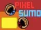Spill Pixel Sumo online