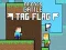 Spill Venners Kamp: Tagg Flagg online Spill Venners Kamp: Tagg Flagg online