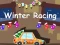 Spill Vinter Racing 2D online