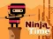 Spill Ninja Tid online