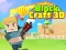 Spill Block Craft 3D online