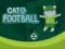 Spill Katt Fotball online