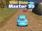 Spill Vill Race Mester 3D online