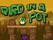 Spill Bir i en gryte online Spill Bir i en gryte online