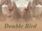 Spill Dobbel Fugl online