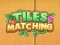 Spill Flis Match online