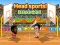 Spill Hodesport! basketball online
