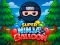 Spill Super Ninja Balloon online
