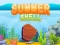 Spill Sommerskall online