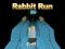 Spill Rabbit Run 3D online