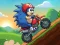 Spill Blue Hedgehog Ride online