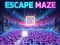 Spill Escape Maze online