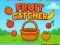 Spill Fruit Catchere online