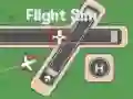 Spill Flysimulator online
