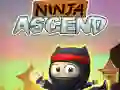 Spill Ninja Oppstigning online Spill Ninja Oppstigning online