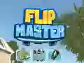 Spill Flip Mester online Spill Flip Mester online