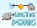 Spill Arktisk Pong online Spill Arktisk Pong online