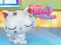 Spill Søt Kattungepleie online Spill Søt Kattungepleie online