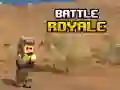 Spill Battle Royale online