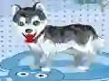 Spill Min søte hund bader online Spill Min søte hund bader online