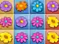 Spill Blomsterhage Kollaps online Spill Blomsterhage Kollaps online
