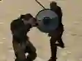 Spill Gladiator Simulator online Spill Gladiator Simulator online