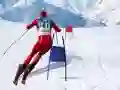 Spill Slalom Skisimulator online Spill Slalom Skisimulator online