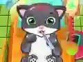 Spill Katt Doktor online Spill Katt Doktor online