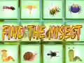 Spill Finn Insektet online Spill Finn Insektet online