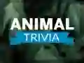 Spill Dyretrivia online Spill Dyretrivia online