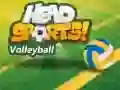 Spill Head Sports Volleyball online
